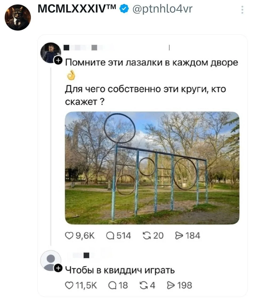Помните как нас бабушки ругали за украденные метёлки?