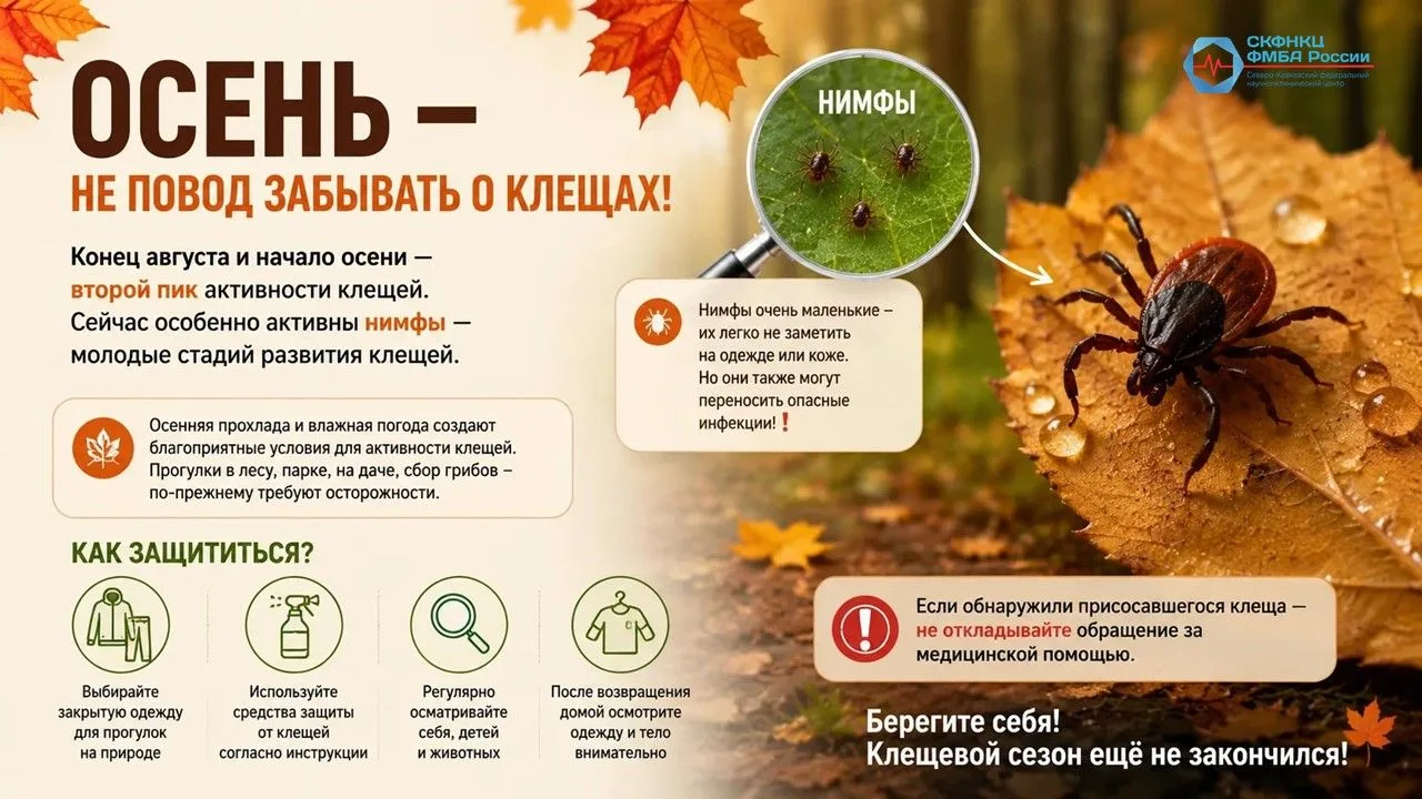 🍂 ОСЕНЬ — НЕ ПОВОД ЗАБЫВАТЬ О КЛЕЩАХ!