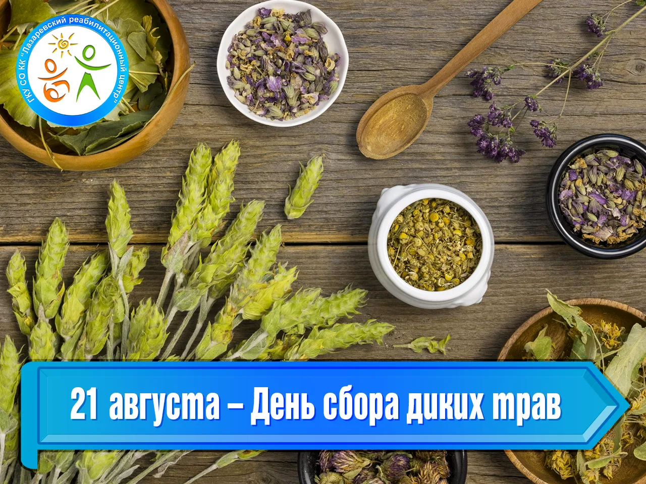 21 августа – День сбора диких трав