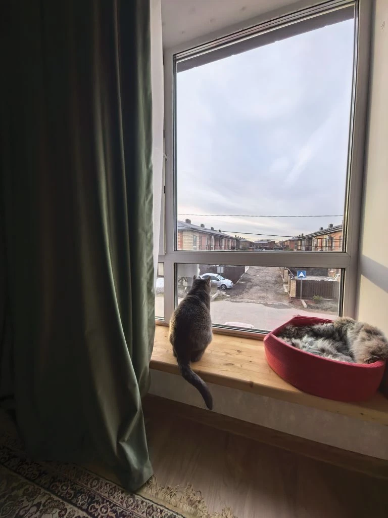 Лучший вид из окна - это вид из окна любимой квартиры 🙂