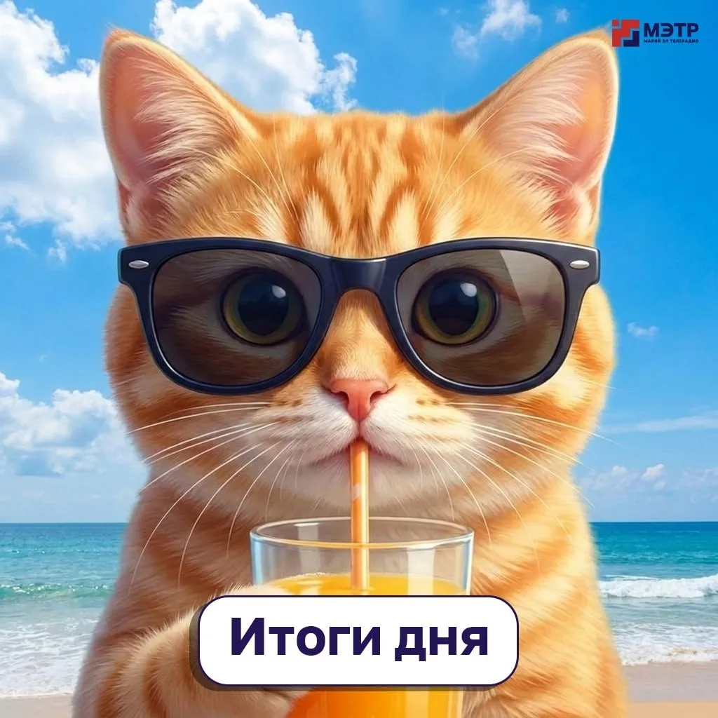 Для тех, кто всё пропустил, главное за сегодня, 15 июня:

💻 В 2026 году в Йошкар-Оле обновят более 
