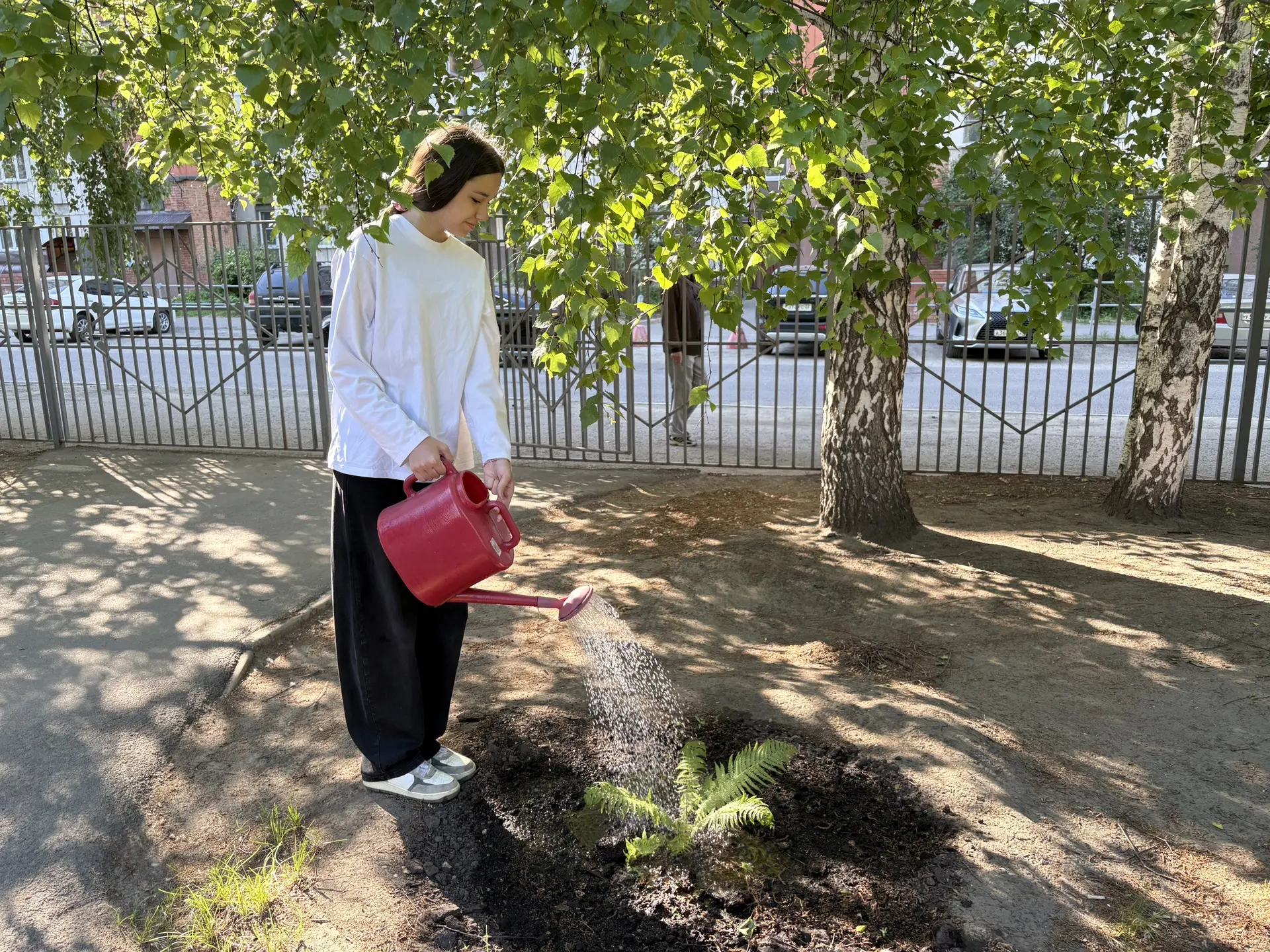 Лето — время расти! 🌱