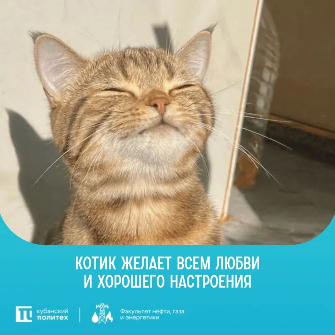 💙 Подведем итоги конкурса вместе