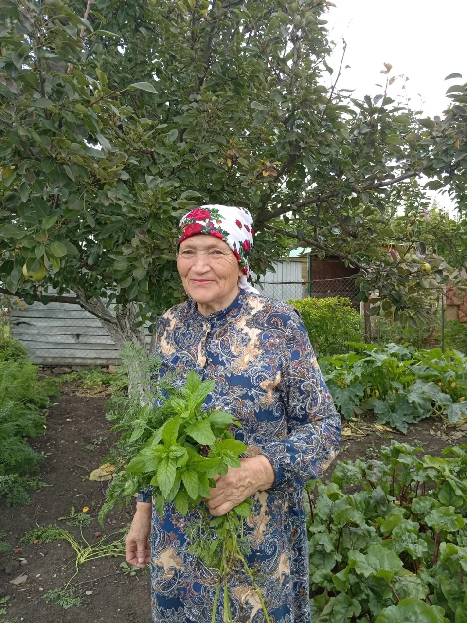 Баланлы авылында яшәүче Илһамия Гәрәева шифалы үләннәр серләре белән уртаклаша