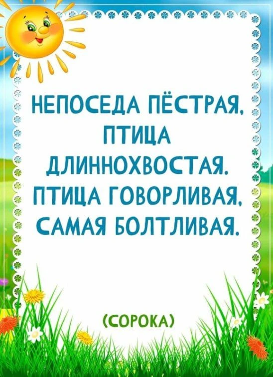 Мы подготовили восемь карточек с загадками   В них мы спрятали животных и птиц, которых можно встрет