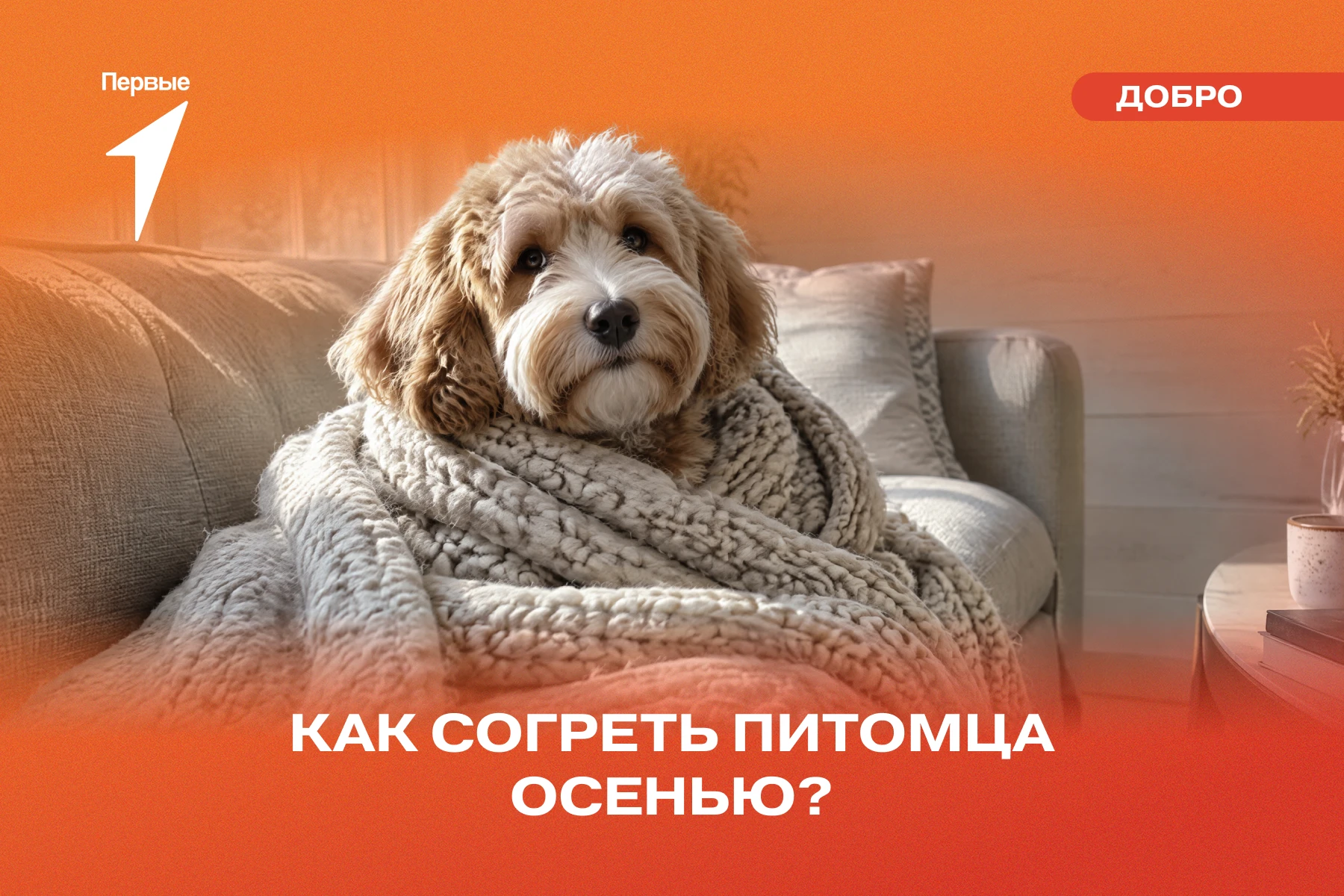 🍁 Осень — время утепляться!