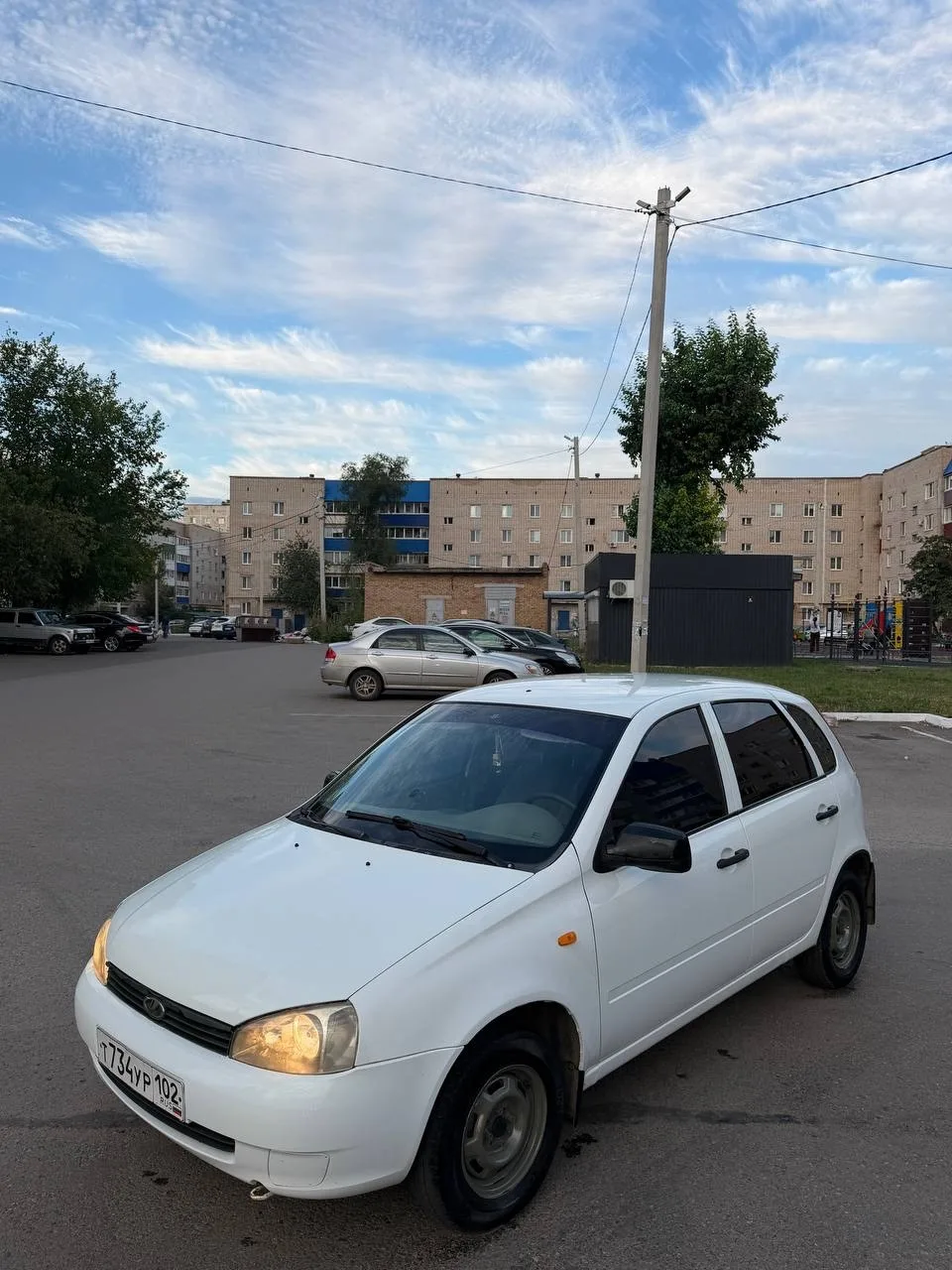 Продам калину 2011 года