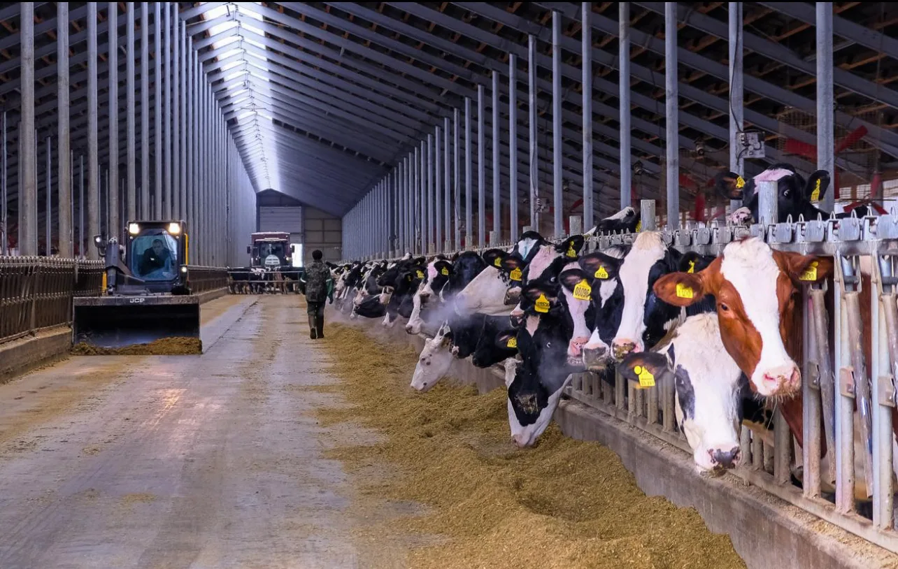 📍РФ с начала года получила допуск на экспорт 21 вида животноводческой продукции. Подробнее 

📍ГОСТ