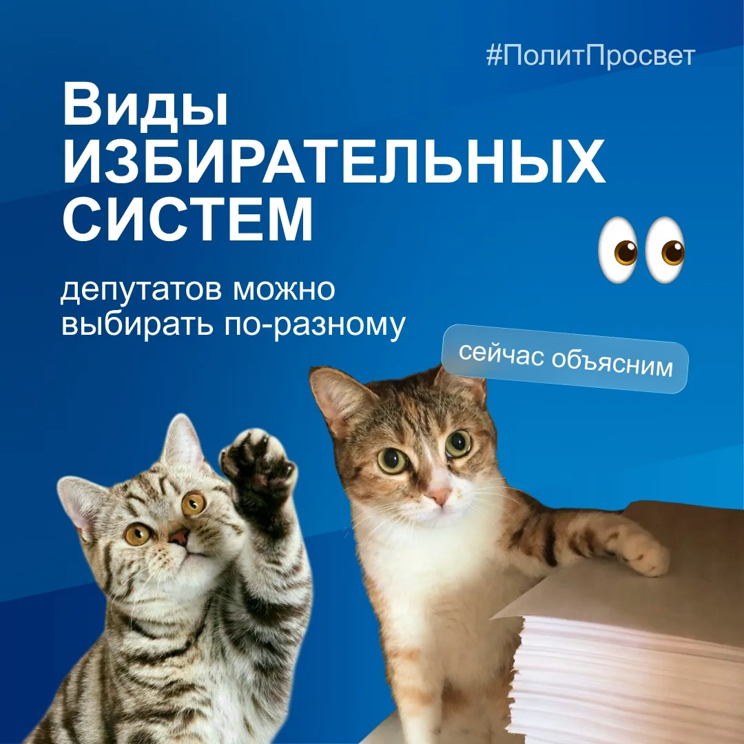 Как в России выбирают депутатов?

Сегодня котики-политотики в еженедельной рубрике #политпросвет поз