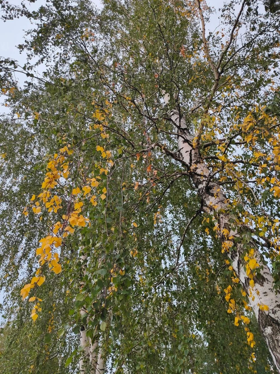 #ПрогнозПогоды