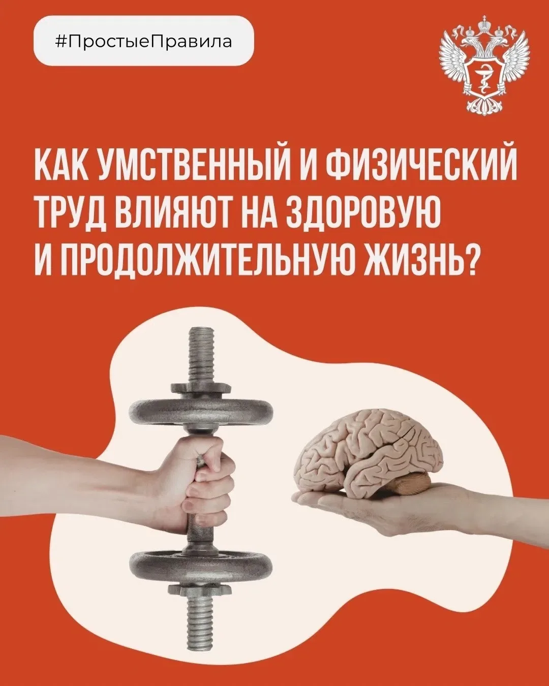 Как умственный и физический труд влияют на здоровое долголетие?