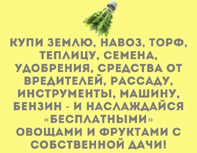 КУКУРУЗА 🌽