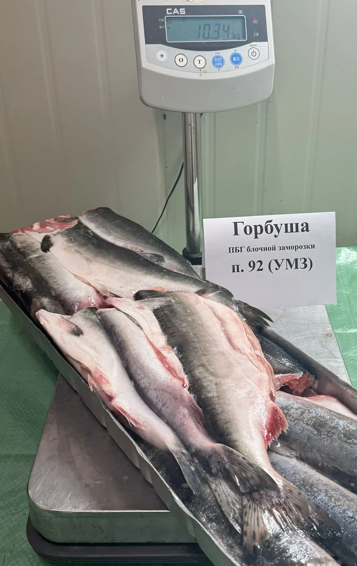С хранения ДВ Порт: Горбуша ПБГ УМЗ, кол. 3 660 кг. цена 740 руб.
