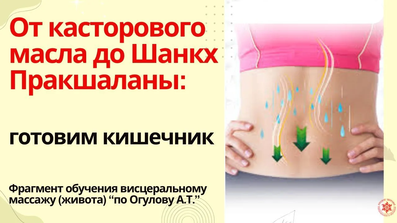 От касторового масла до Шанкх Пракшаланы: готовим кишечник. Видео об обучении висцеральному массажу 