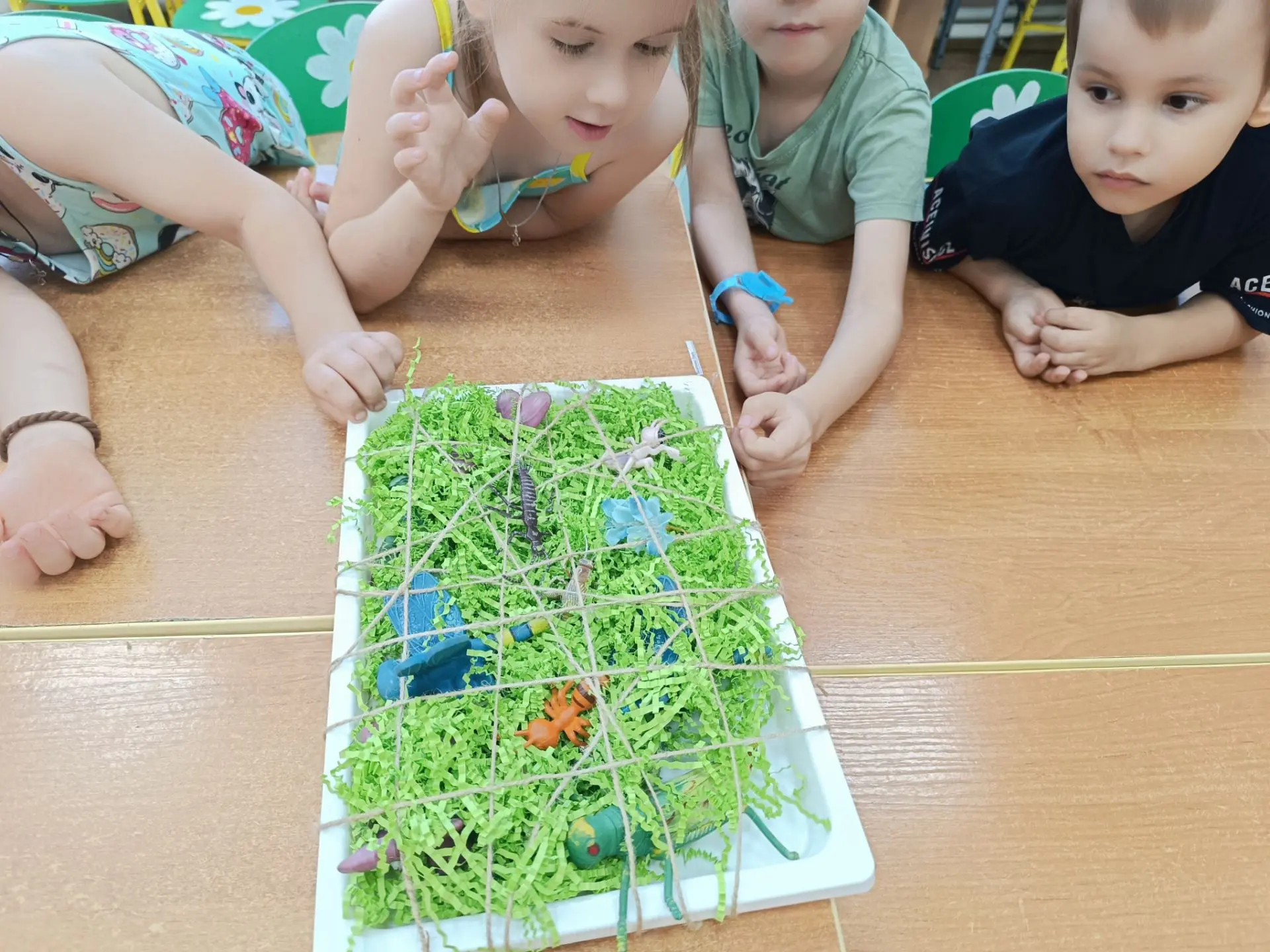 Спасательная операция на песке🐝🪲🐞
Утреннее жужжание оказалось сигналом бедствия: к нам заблудилас