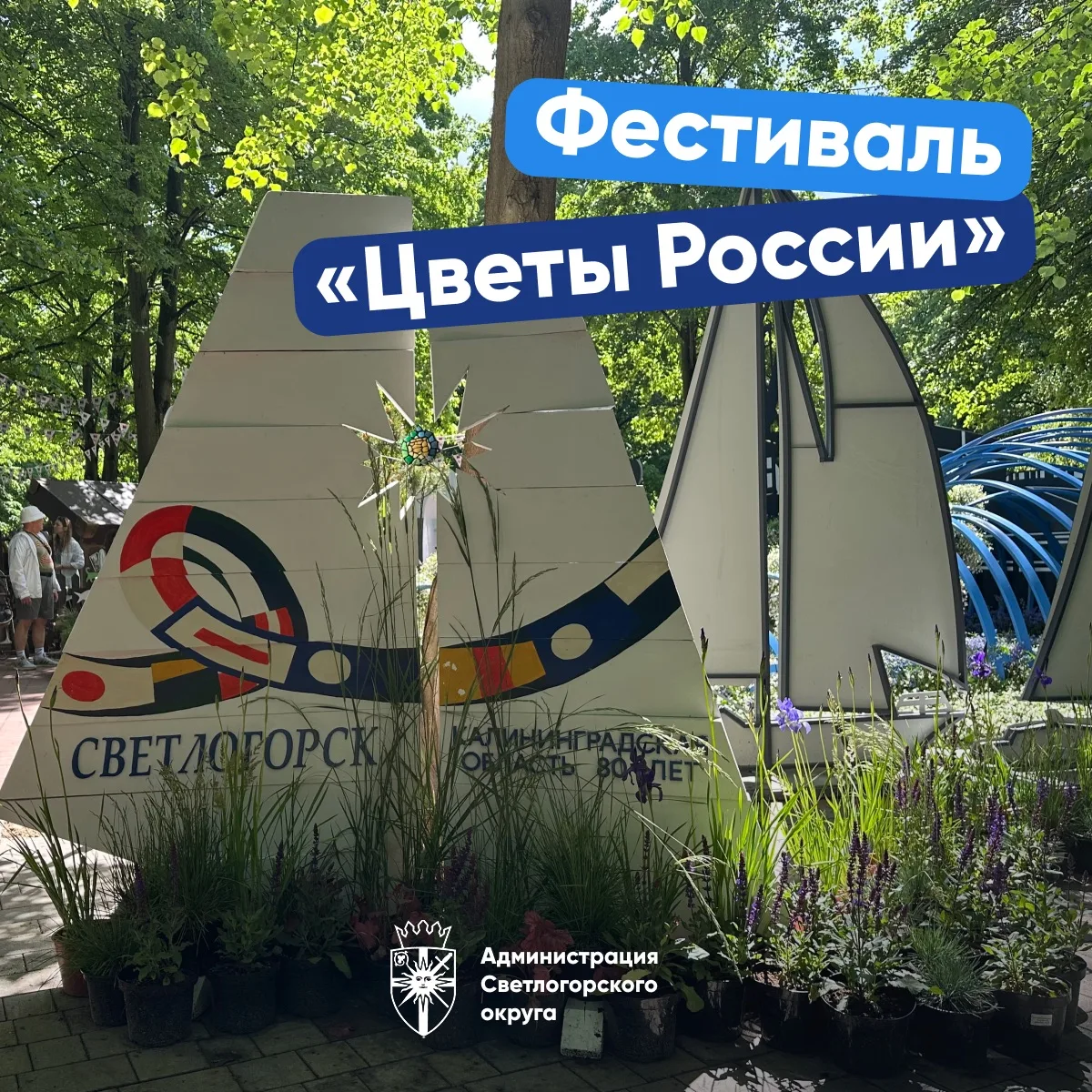 🌸 У Светлогорска – «серебро» на областном Фестивале «Цветы России»!
