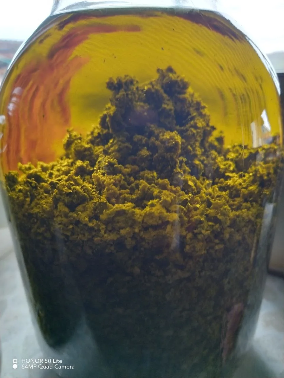 Пока ничего не понятно...
Но если что, то это будущее масло зелёного грецкого ореха...
https://кладо