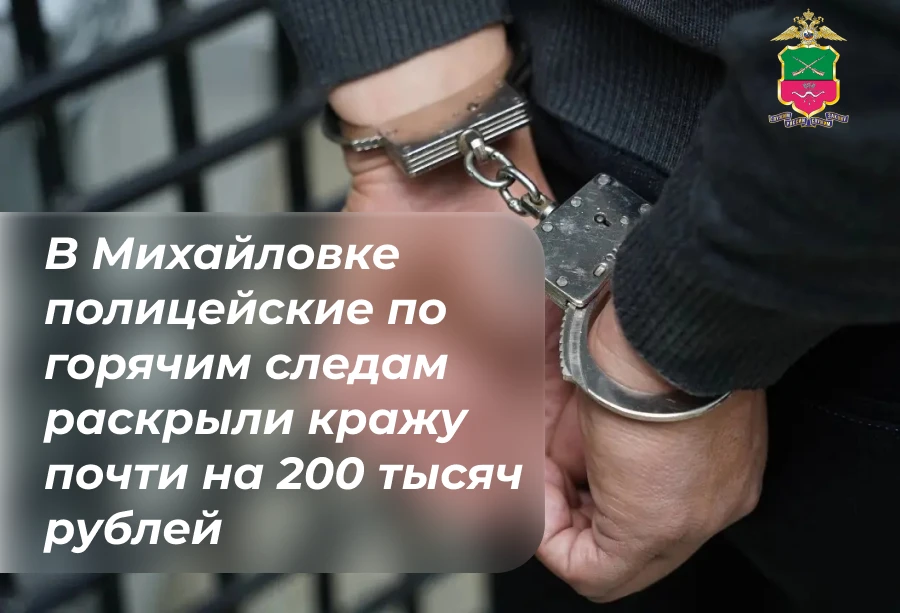 В Михайловке полицейские по горячим следам раскрыли кражу почти на 200 тысяч рублей

В Михайловке со