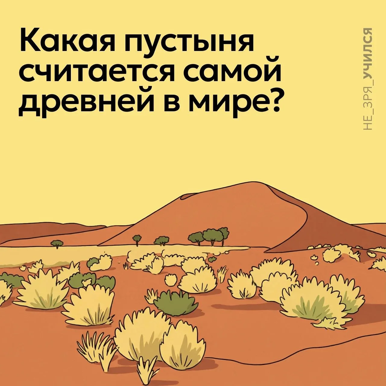 🤔 Эта пустыня настолько древняя, что её пески формировались ещё во времена динозавров....