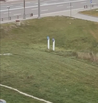 🌿 В ЖК Румянцево Парк заметили лису
