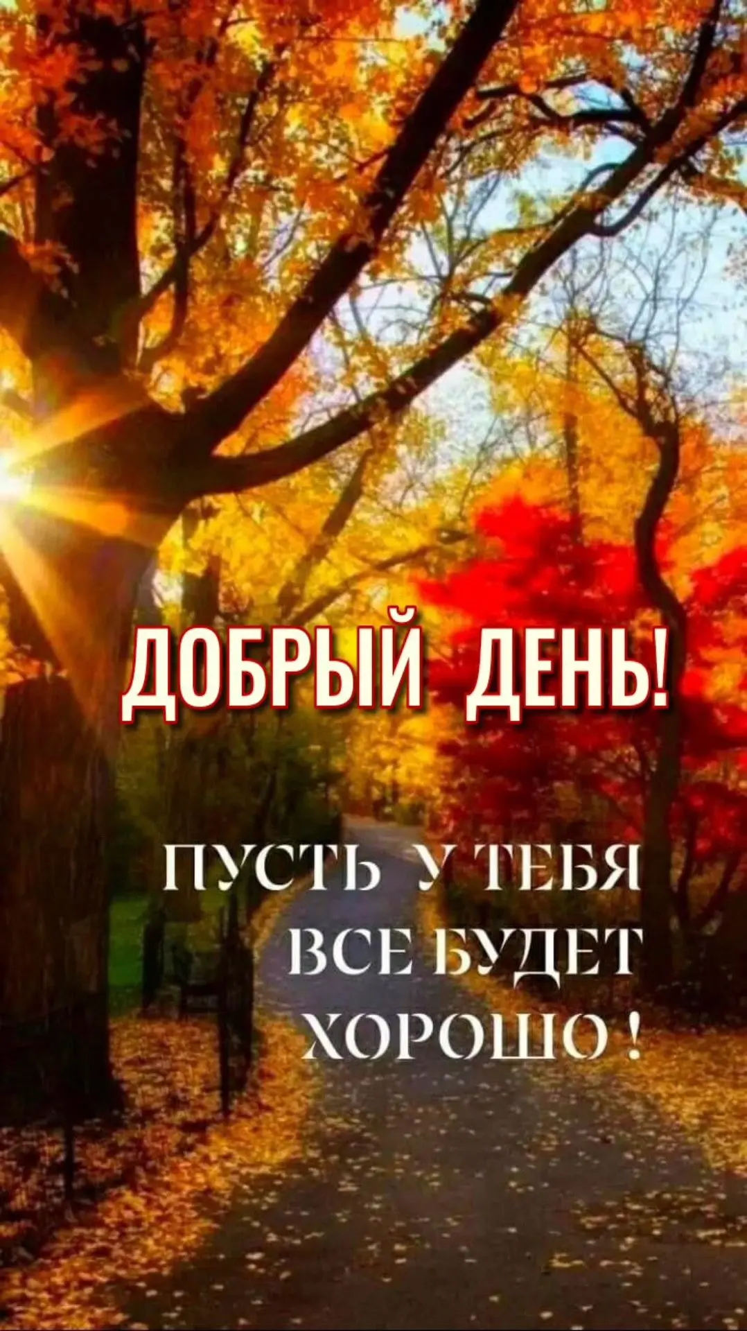 Красивые открытки❤️