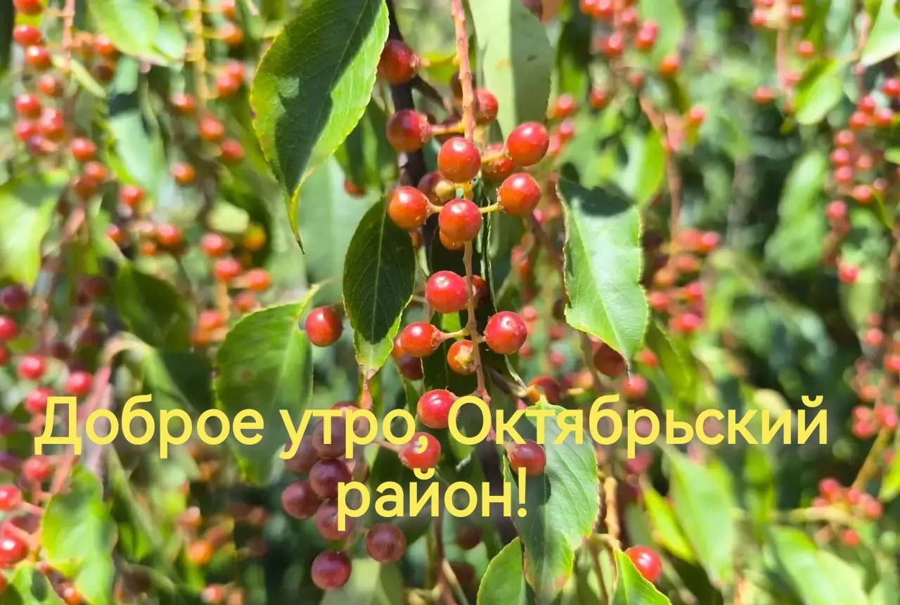 3  сентября  в Октябрьском районе ожидается теплый солнечный день, без осадков.