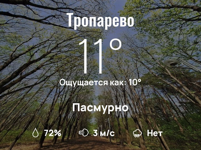 Что с погодой в Тропарево?
