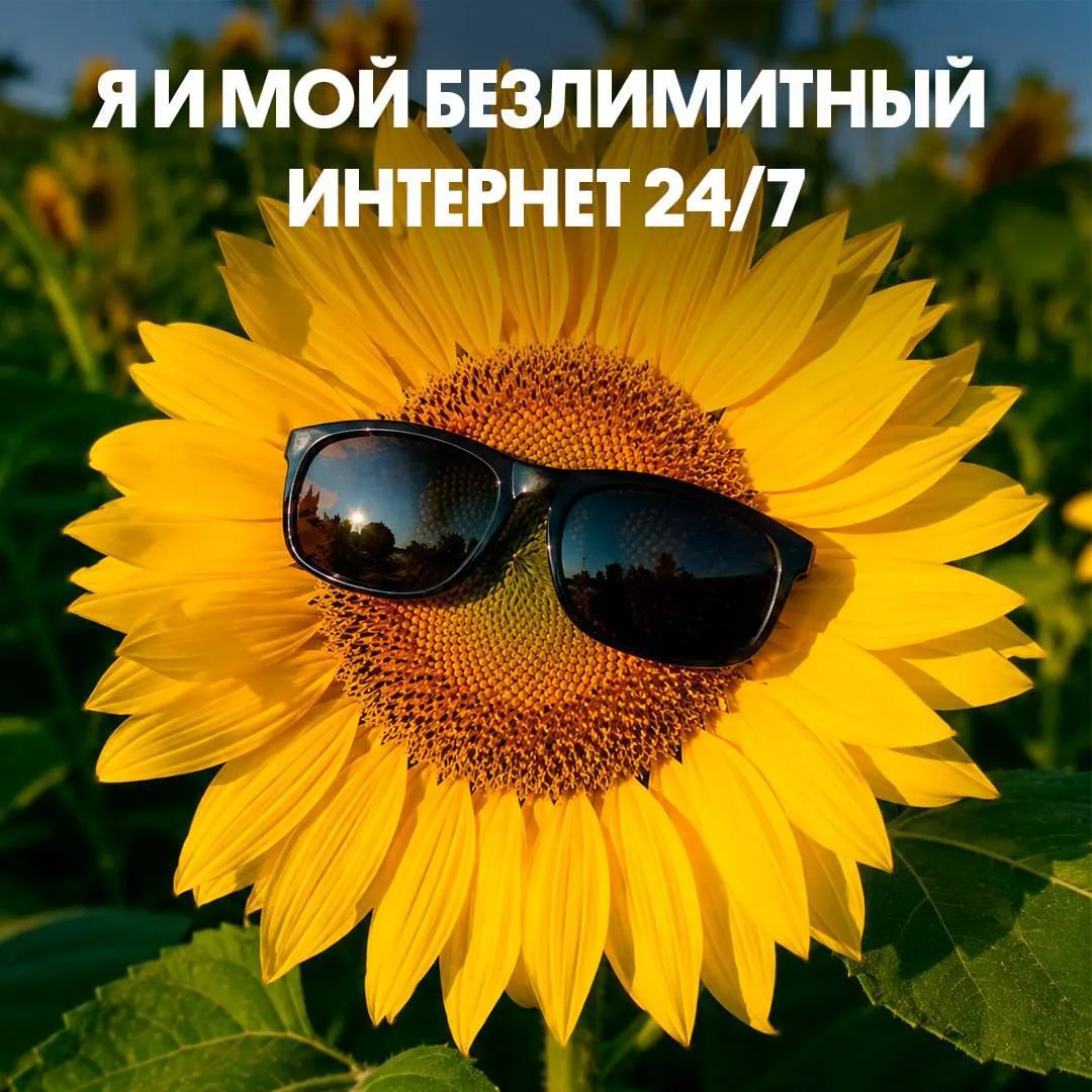 Я, который сидит с обновленной подпиской би и вообще кайфует от лета.

🔥 – если это реально ты