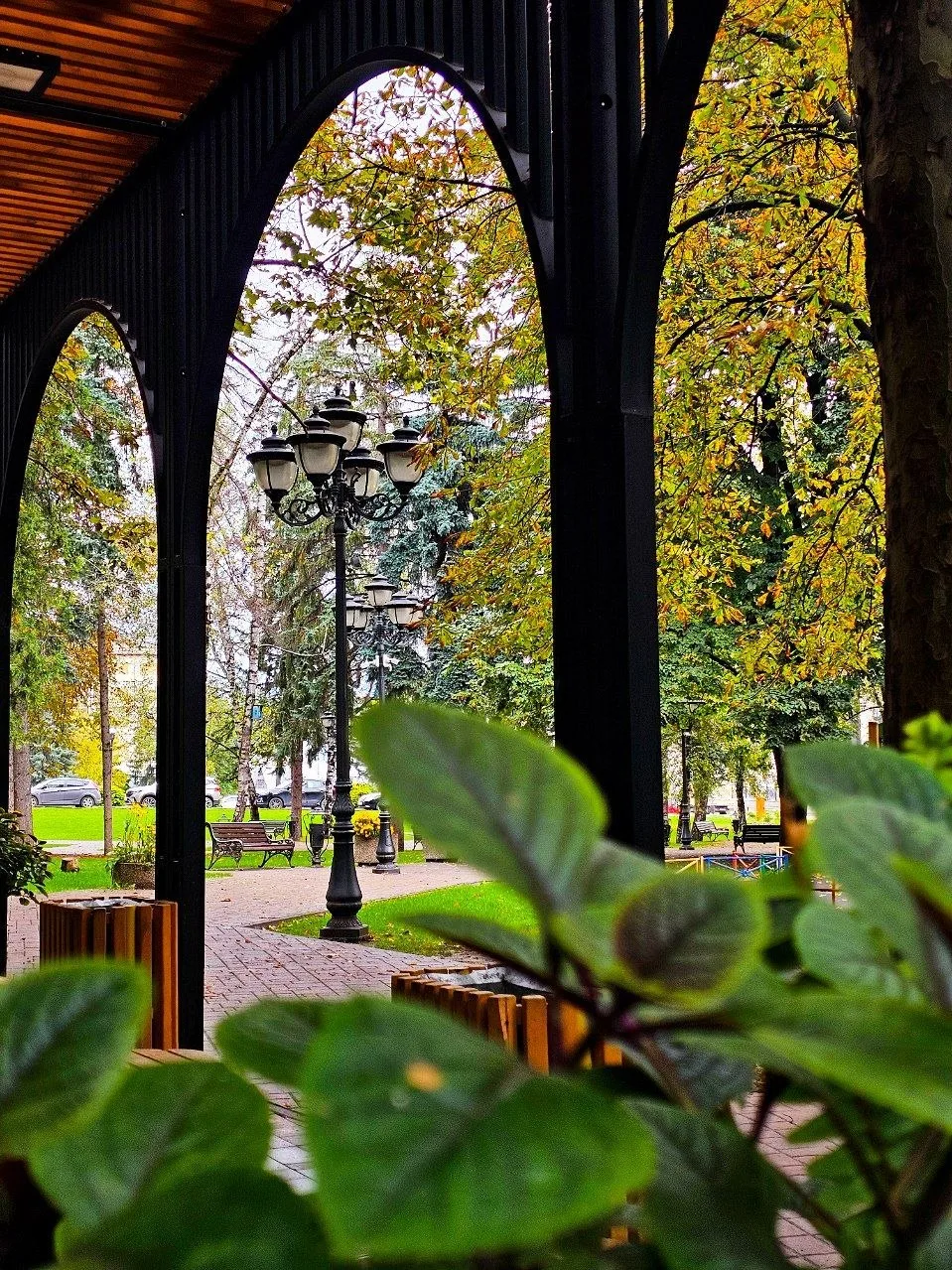 🍂 Осенний Кисловодск
