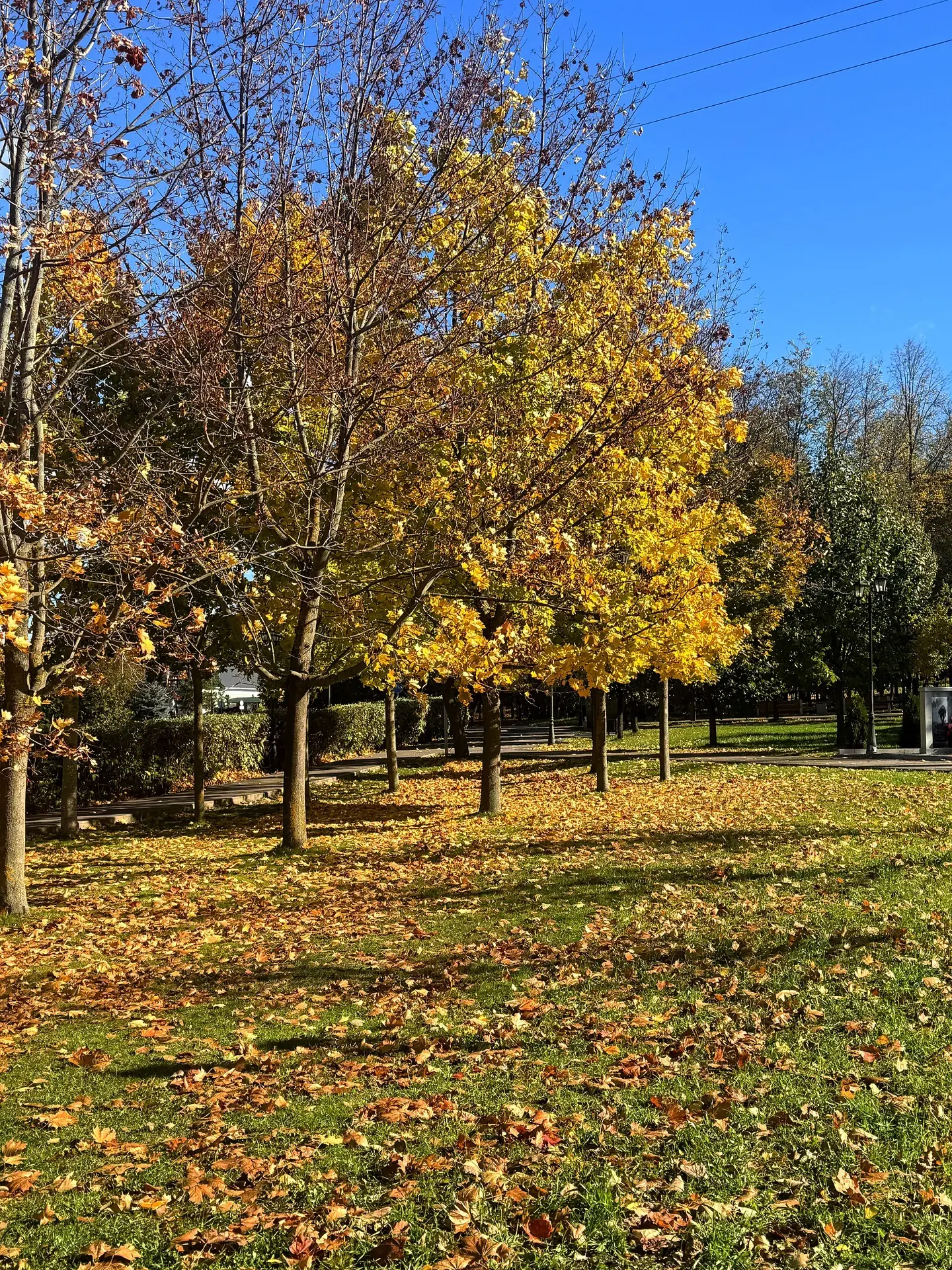Погода сегодня очень радует 😍