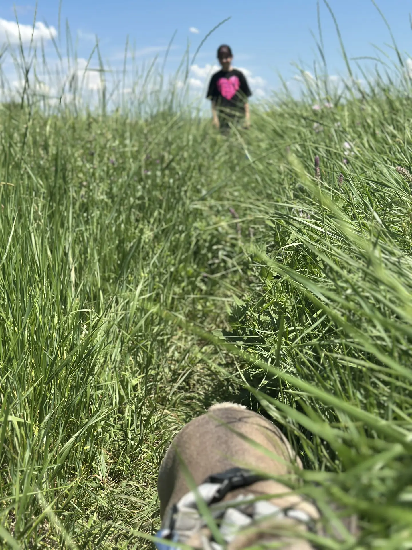 Доброе утро 🪷🥗🌺
