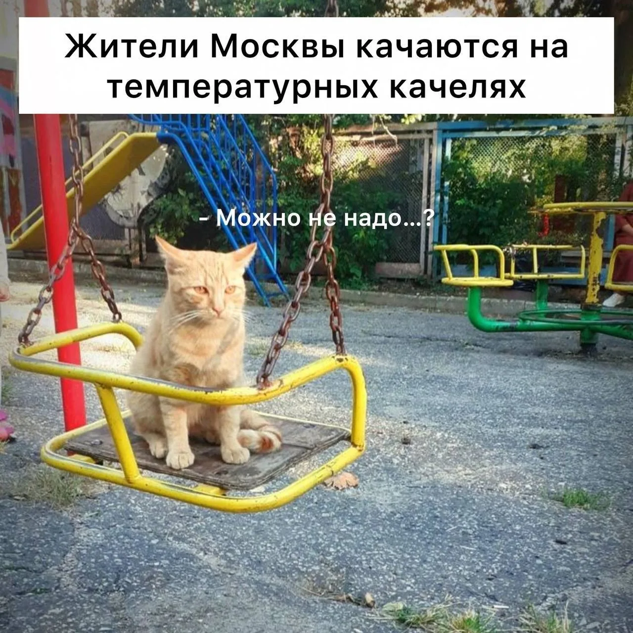 Жара до +27 градусов ожидается в Московском регионе 10 сентября, — Гидрометцентр.