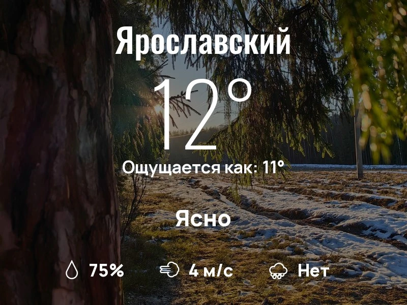 Что с погодой в Ярославском?