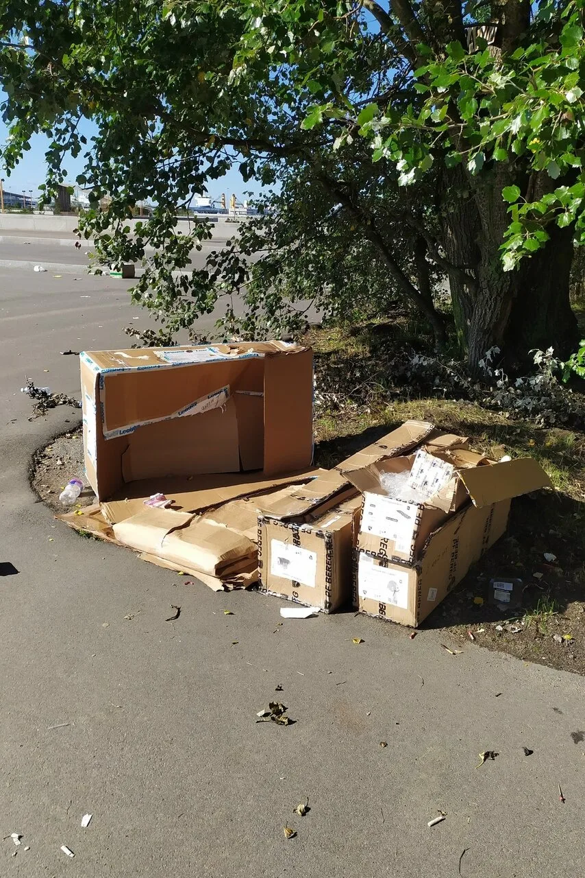 После Дня района парк на Смоленке остался в мусоре
