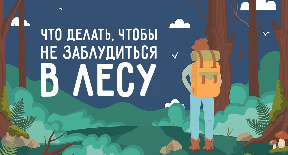 Что делать, чтобы не заблудиться в лесу