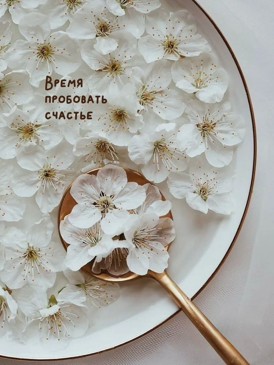 Вам послание💌