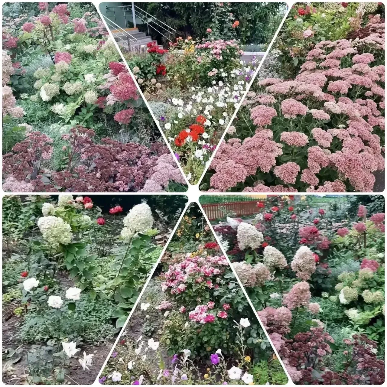 🌸 «Сентябрьская цветочная симфония» в нашем детском саду! 🍂