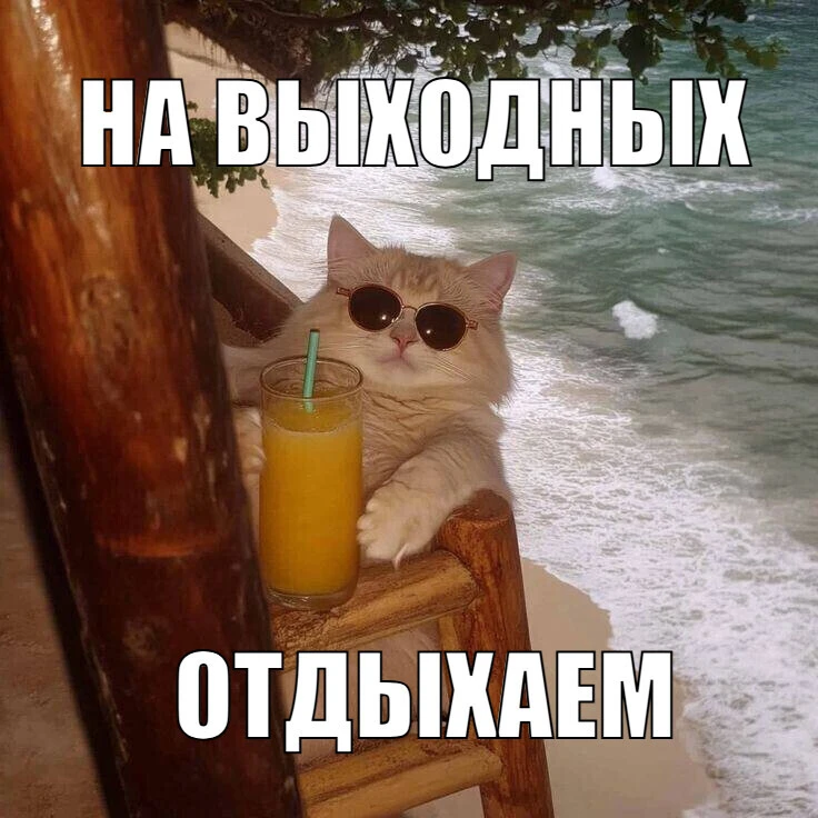Бабье лето заглянет к нам уже на этой неделе ☀️