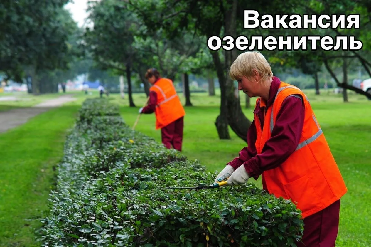 Администрация Бердянского муниципального округа Запорожской области: требуются специали...