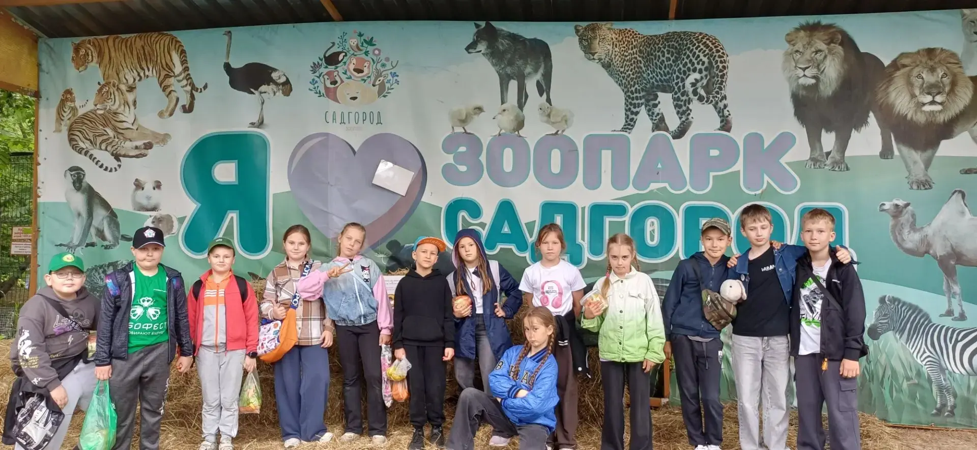 16 июня 2026 года — день, который мы запомним надолго! ☀️

Сегодня наш лагерь отправился в зоопарк н