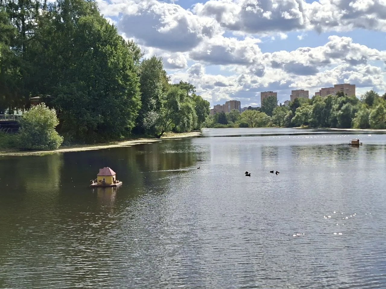 🌊🦆 История длиной в пять веков и немного утиного счастья