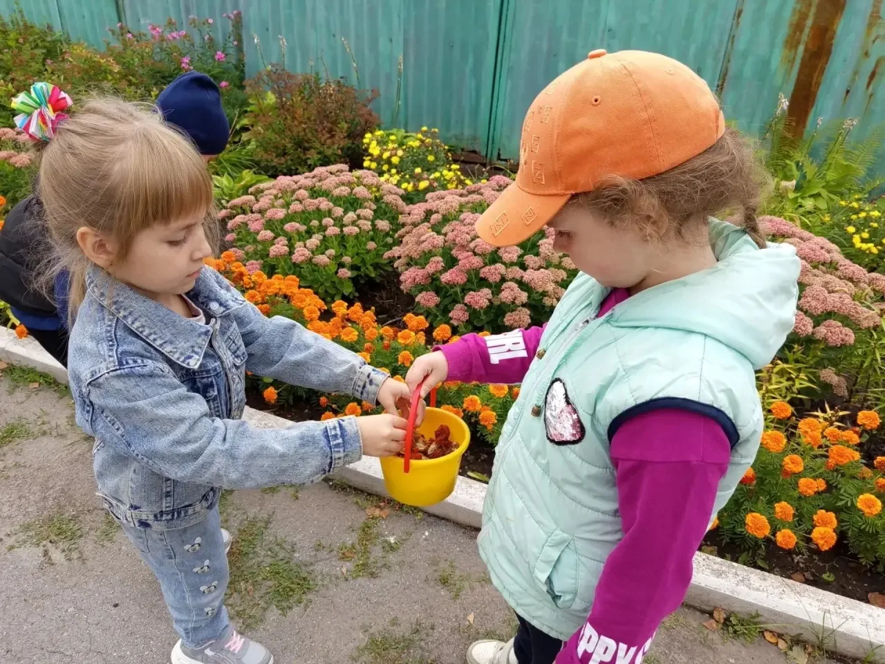 🍁 Осенние хлопоты: собираем семена для будущей весны! 🌼
