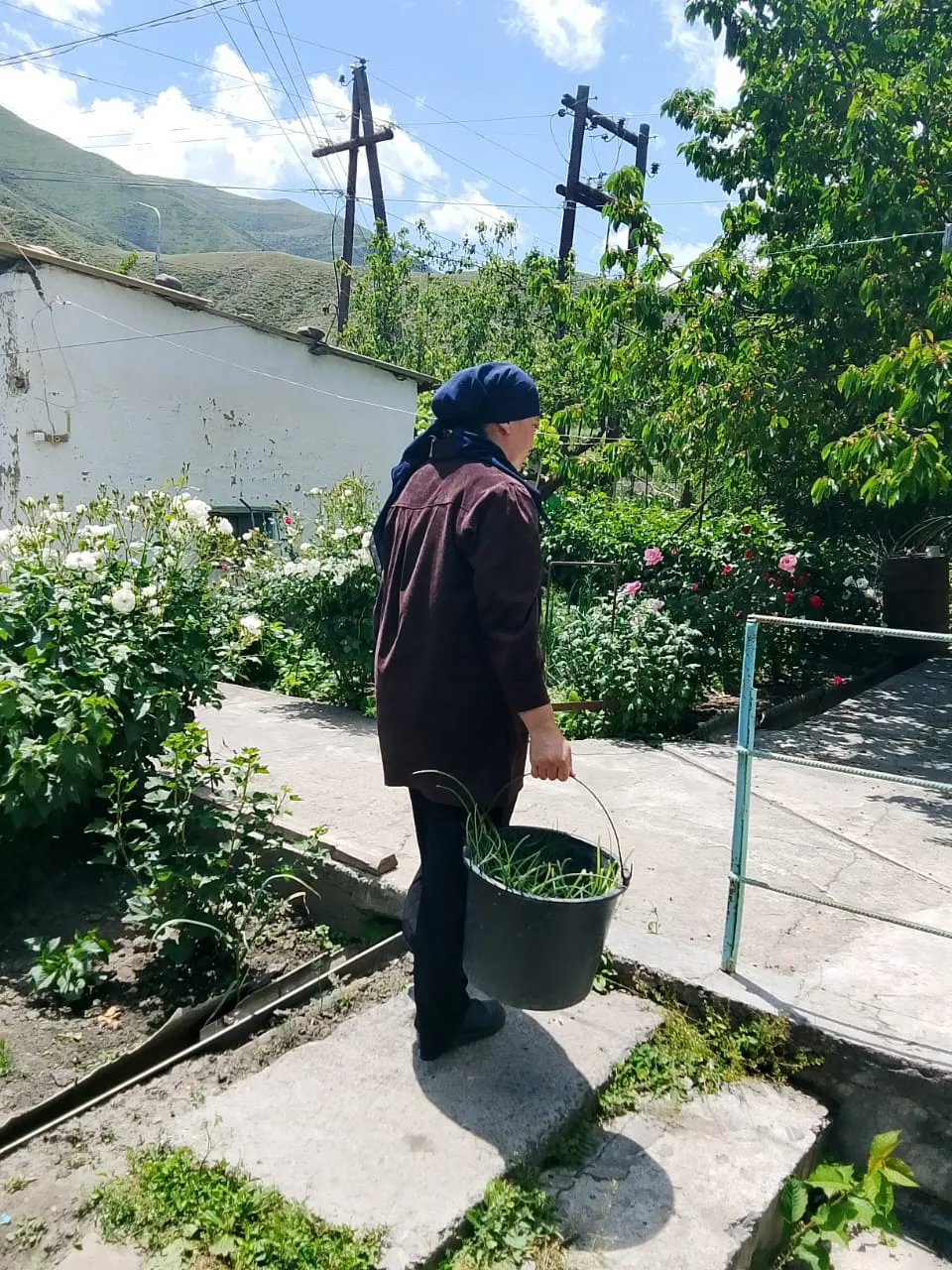 Социальные работники  2 отделения надомного обслуживания оказывают социальные услуги своим подопечны