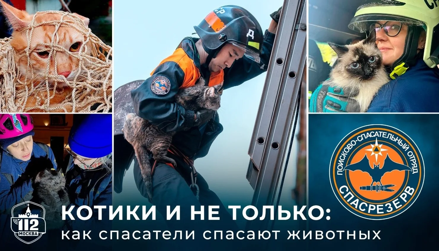 👲👉 «СпасРезерв» — это общественный поисково-спасательный отряд, созданный в 2007 году...