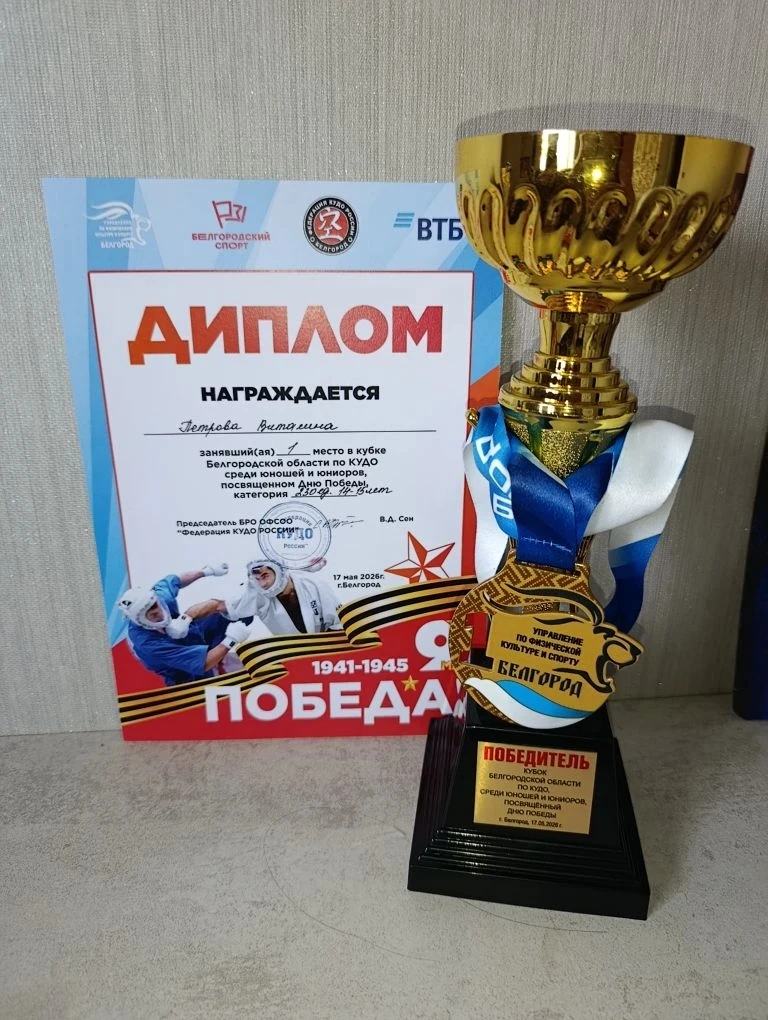 Достижения наших обучающихся. Петрова Виталина - 8 "В" класс.  Кл. рук-ль: Новак Д.А.  Ученица 8 "В"