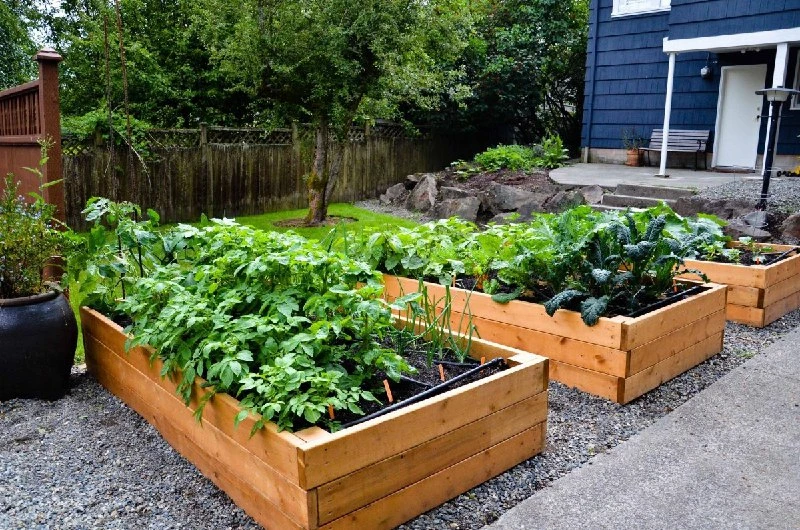 9 советов для высоких грядок 🌱
