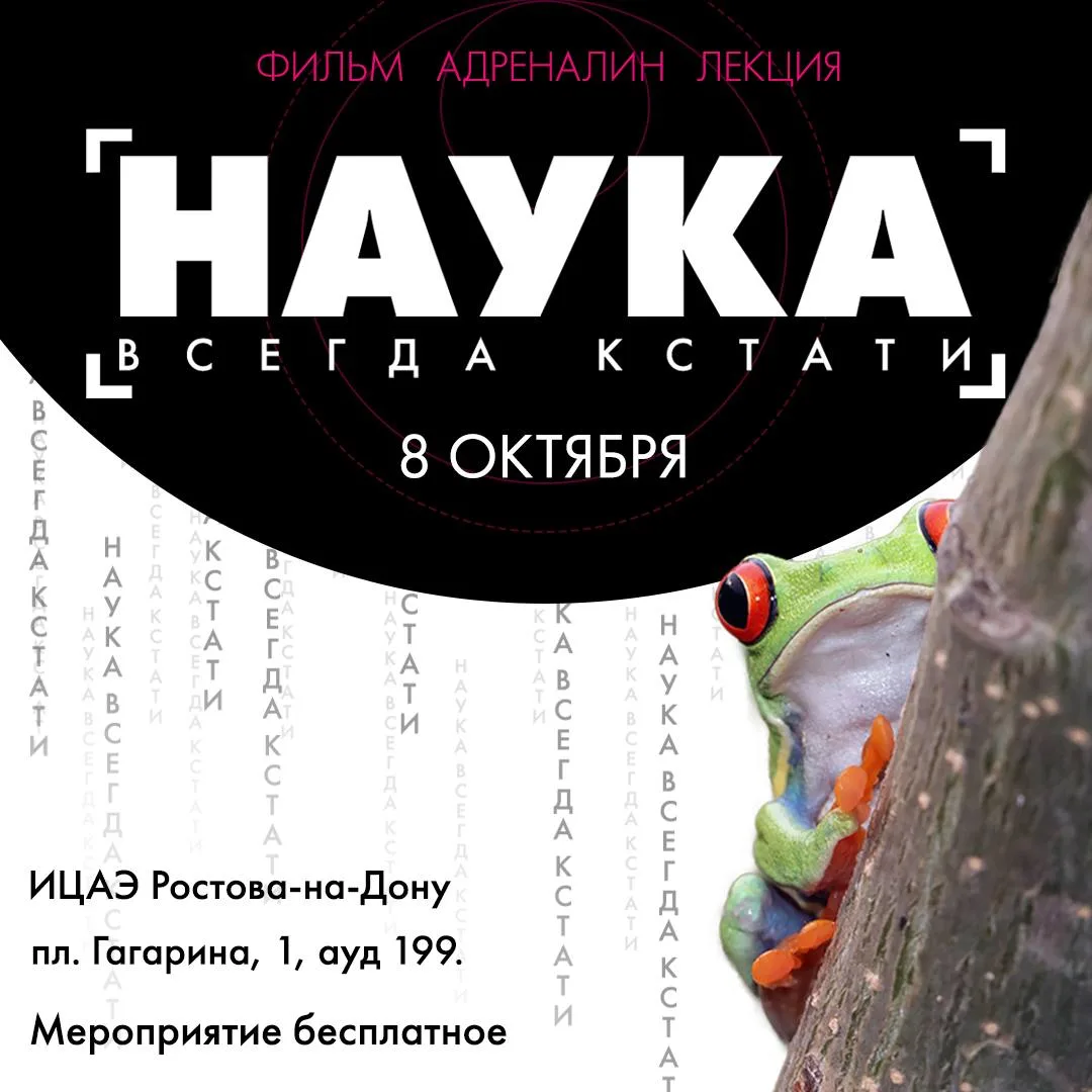 🦷Клювы, укусы и немного пушистого азарта