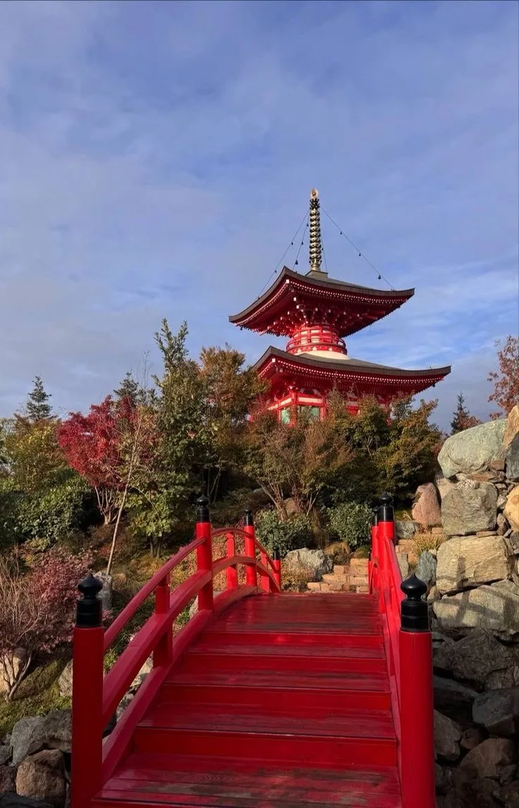 ⛩ Как попасть в Японский сад (Краснодар) и не сойти с ума