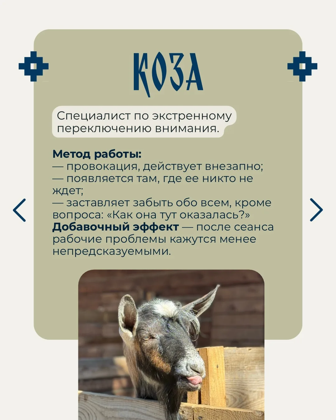 Кажется, мы нашли решение проблем человеческих и поняли почему 35% гостей возвращаются ...