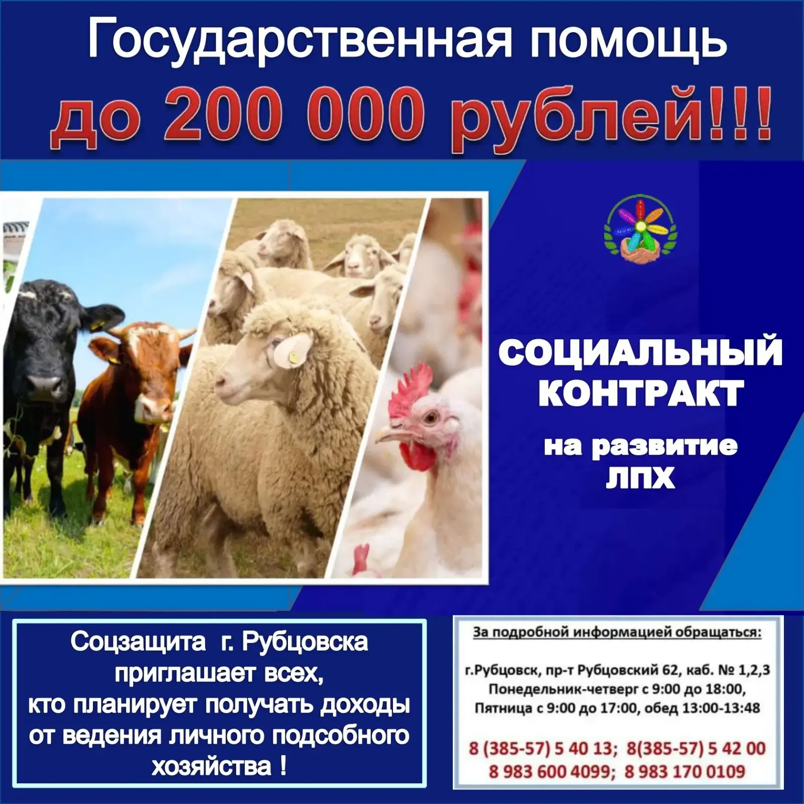 ❗Информируем жителей Рубцовского района о возможности заключения социального контракта ...